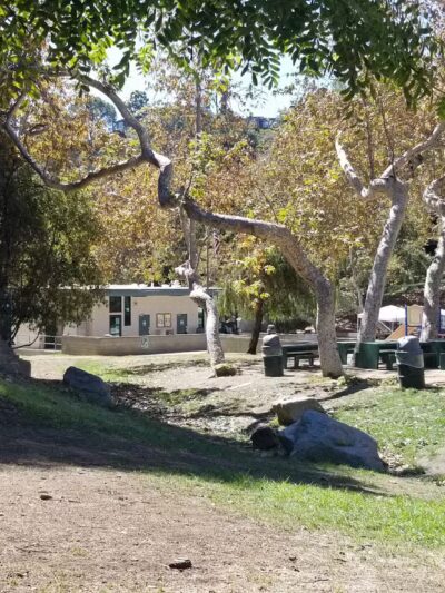 Good dog park - Los Angeles, CA