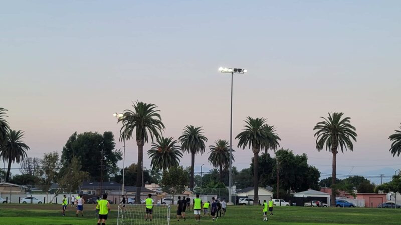 Harvard Park - Los Angeles, CA