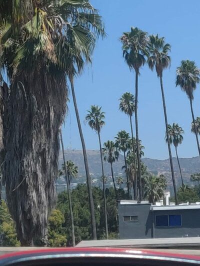 Madison West Park - Los Angeles, CA