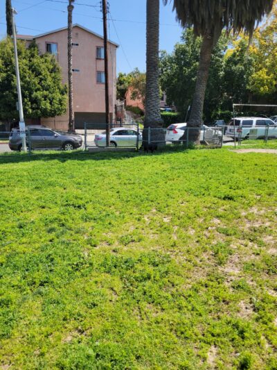 Madison West Park - Los Angeles, CA