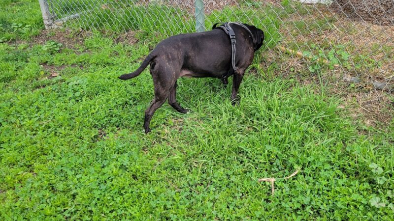 Madison West Park - Los Angeles, CA