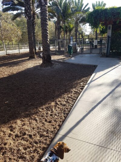 Oberrieder Dog Park - Los Angeles, CA