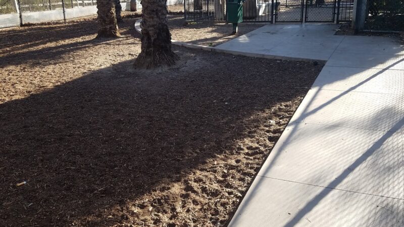 Oberrieder Dog Park - Los Angeles, CA