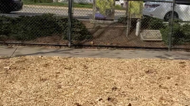 Oberrieder Dog Park - Los Angeles, CA