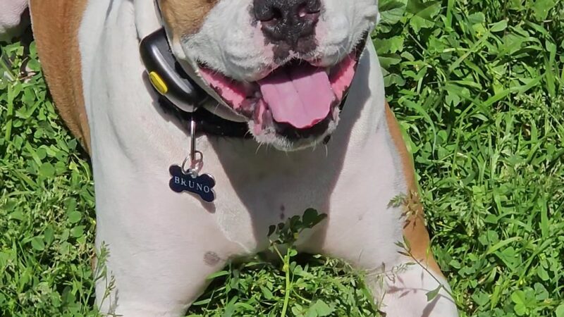 Prospect Park - Los Angeles, CA