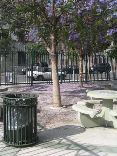 Selma Park - Los Angeles, CA