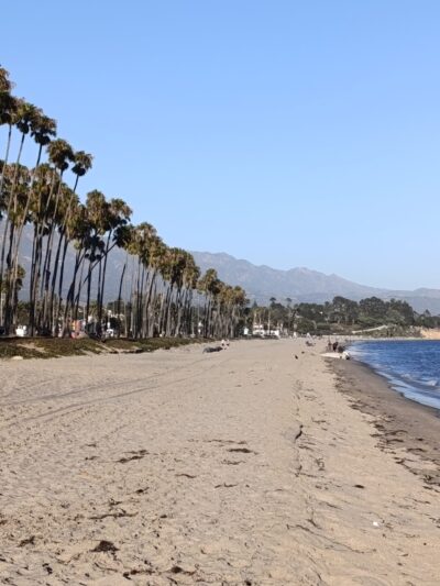 South Lawn - Los Angeles, CA