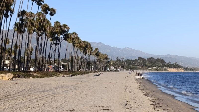 South Lawn - Los Angeles, CA
