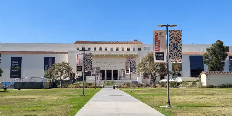 South Lawn - Los Angeles, CA