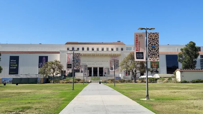 South Lawn - Los Angeles, CA