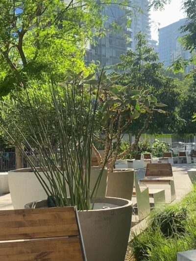 South Park Commons - Los Angeles, CA