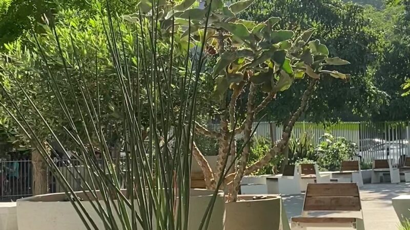 South Park Commons - Los Angeles, CA