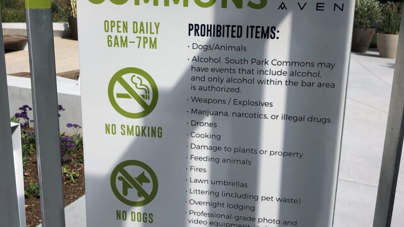 South Park Commons - Los Angeles, CA