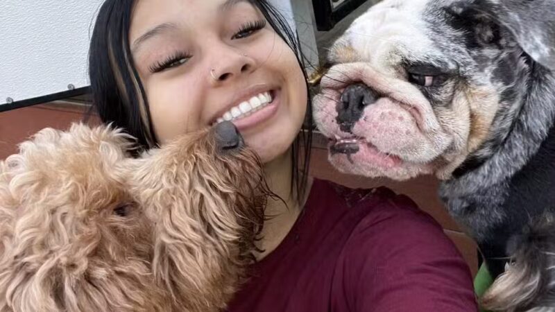 South Park Doggie - Doggieland (LA) - Los Angeles, CA