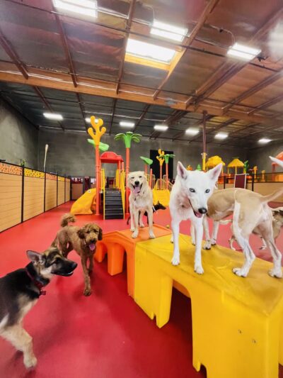 South Park Doggie - Doggieland (LA) - Los Angeles, CA