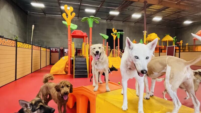 South Park Doggie - Doggieland (LA) - Los Angeles, CA