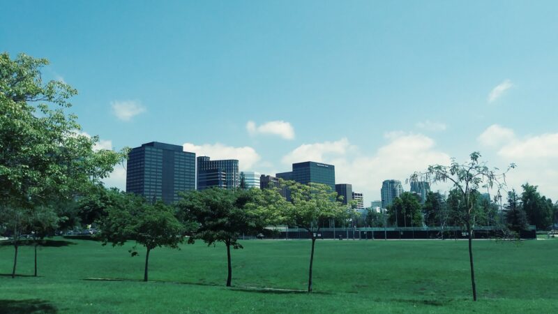 Westwood Park - Los Angeles, CA