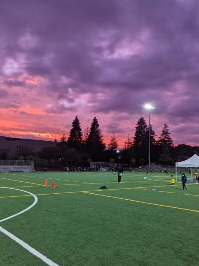 Westwoof Dog Park - Los Angeles, CA