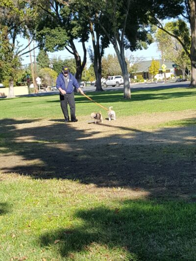 Big Page Park - Los Banos, CA