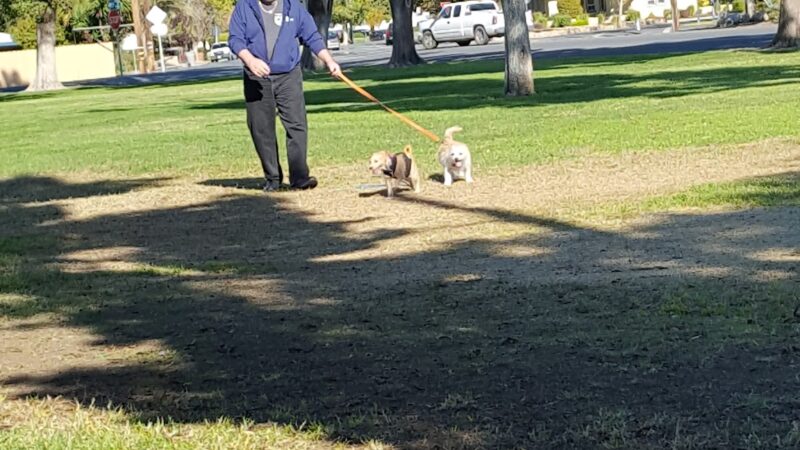Big Page Park - Los Banos, CA
