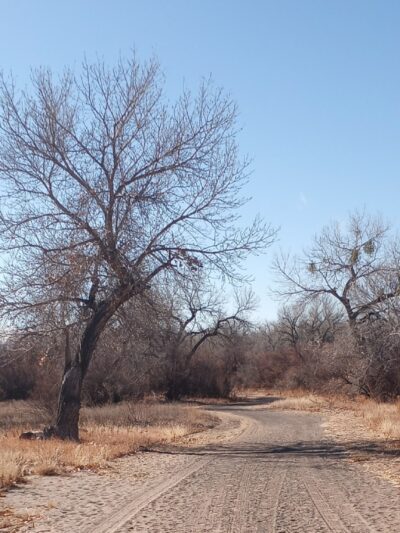 Riverside Park - Los Lunas, NM