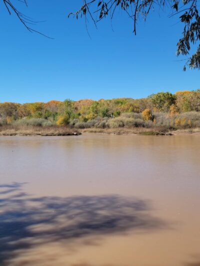 Riverside Park - Los Lunas, NM