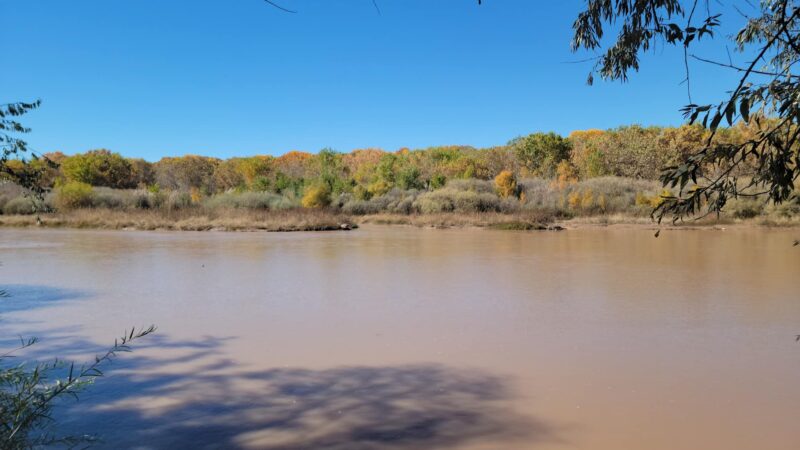 Riverside Park - Los Lunas, NM