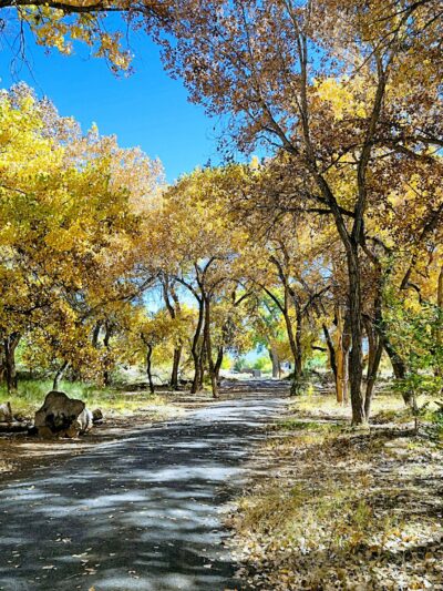 Riverside Park - Los Lunas, NM