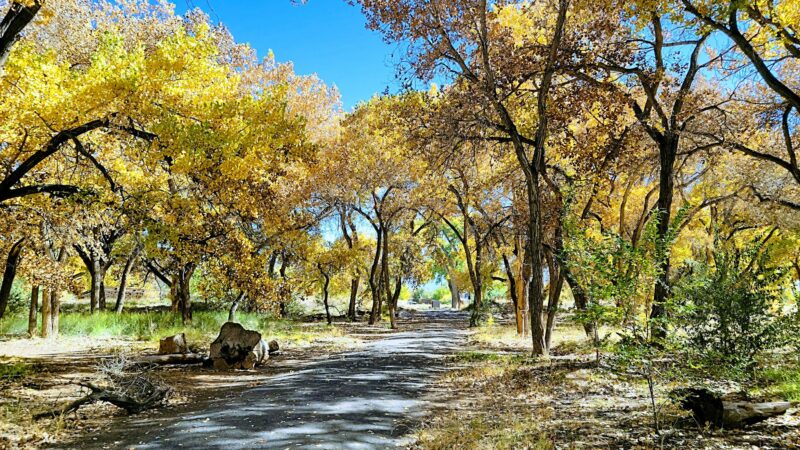 Riverside Park - Los Lunas, NM