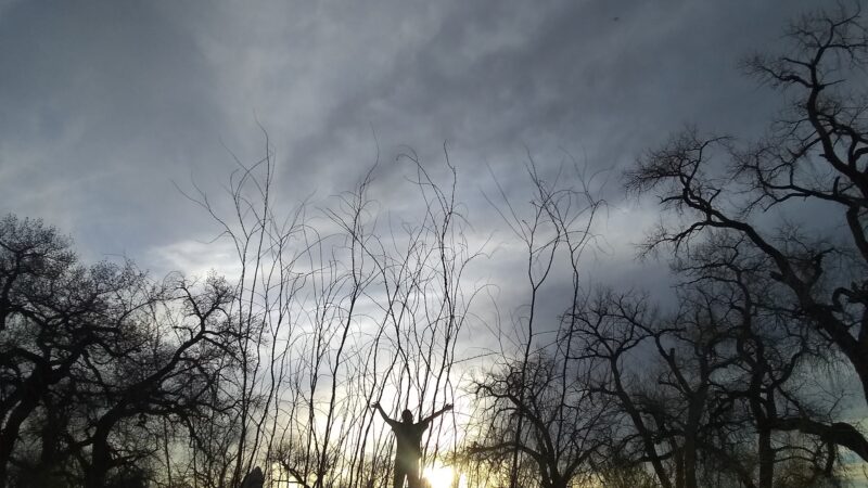 Riverside Park - Los Lunas, NM