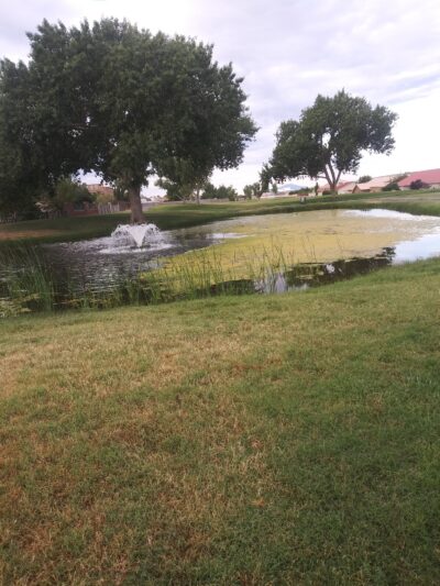 Valley View Park - Los Lunas, NM