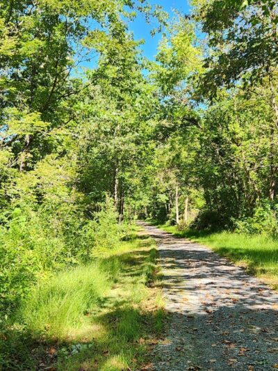 Southern Harrison Trail Parking - Lost Creek, WV