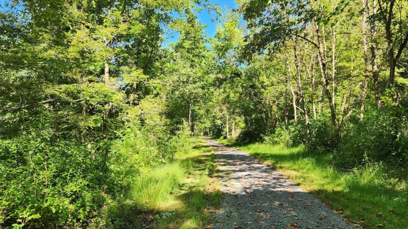 Southern Harrison Trail Parking - Lost Creek, WV