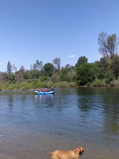 Henningsen Lotus Park - Lotus, CA