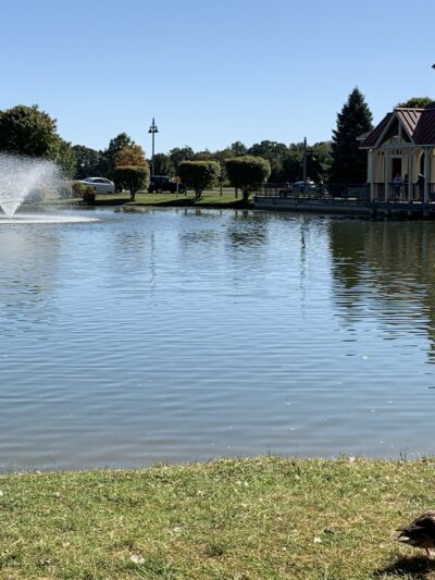 The Crossings Park of Colonie - Loudonville, NY