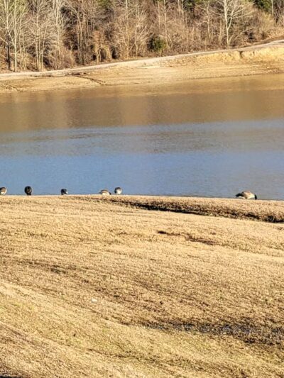 Yatesville Lake - Louisa, KY