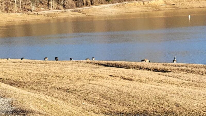 Yatesville Lake - Louisa, KY