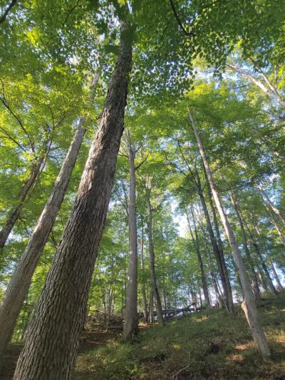 Yatesville Lake - Louisa, KY