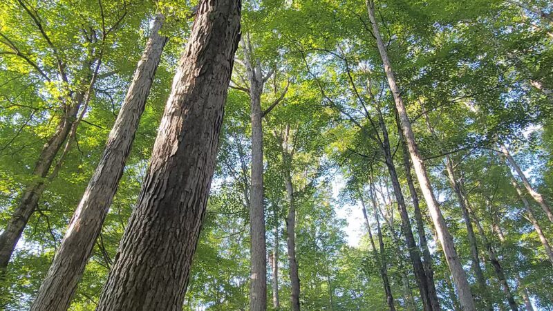 Yatesville Lake - Louisa, KY