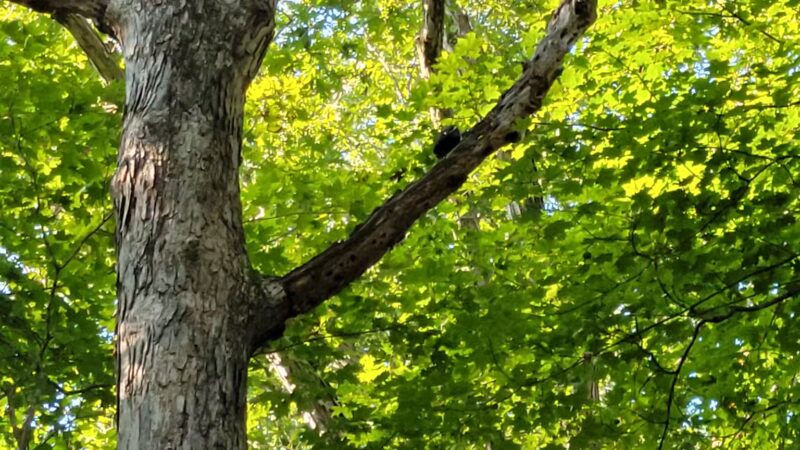 Yatesville Lake - Louisa, KY
