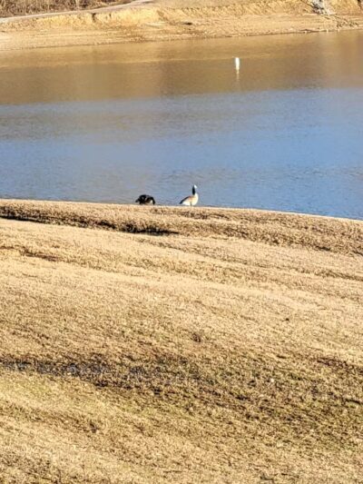 Yatesville Lake - Louisa, KY