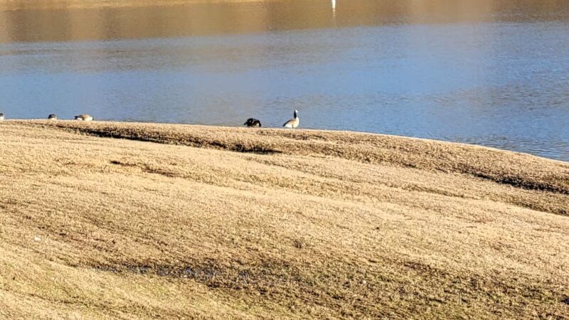 Yatesville Lake - Louisa, KY