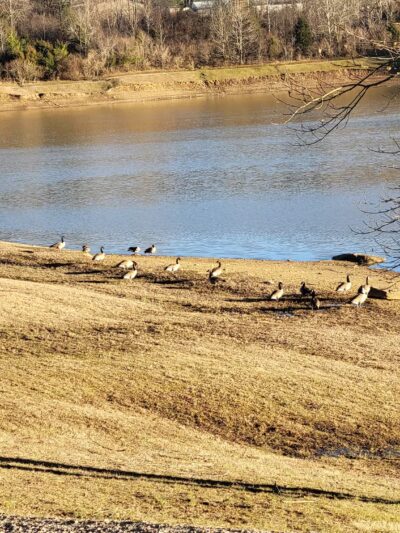 Yatesville Lake - Louisa, KY