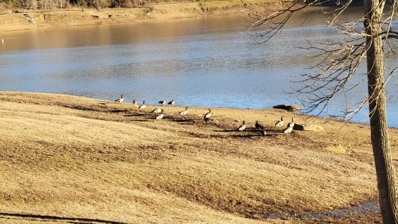 Yatesville Lake - Louisa, KY