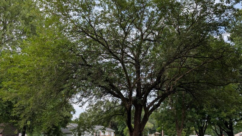 Louisburg City Park - Louisburg, KS