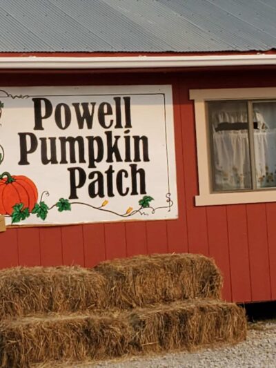 Powell Pumpkin Patch - Louisburg, KS