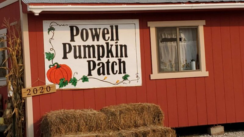 Powell Pumpkin Patch - Louisburg, KS