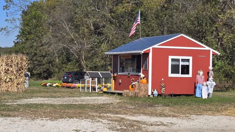 Powell Pumpkin Patch - Louisburg, KS