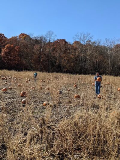 Powell Pumpkin Patch - Louisburg, KS