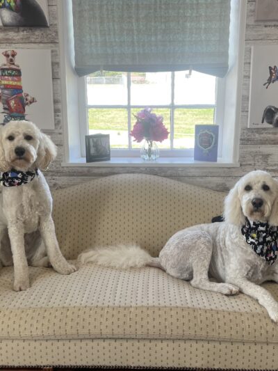 The Hound Lounge LLC - Louisburg, KS